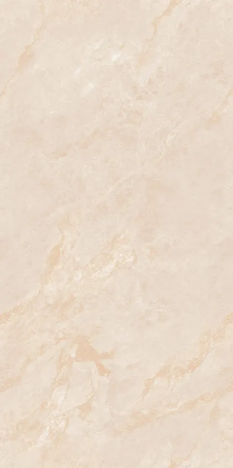 INDO BEIGE SILK view 7